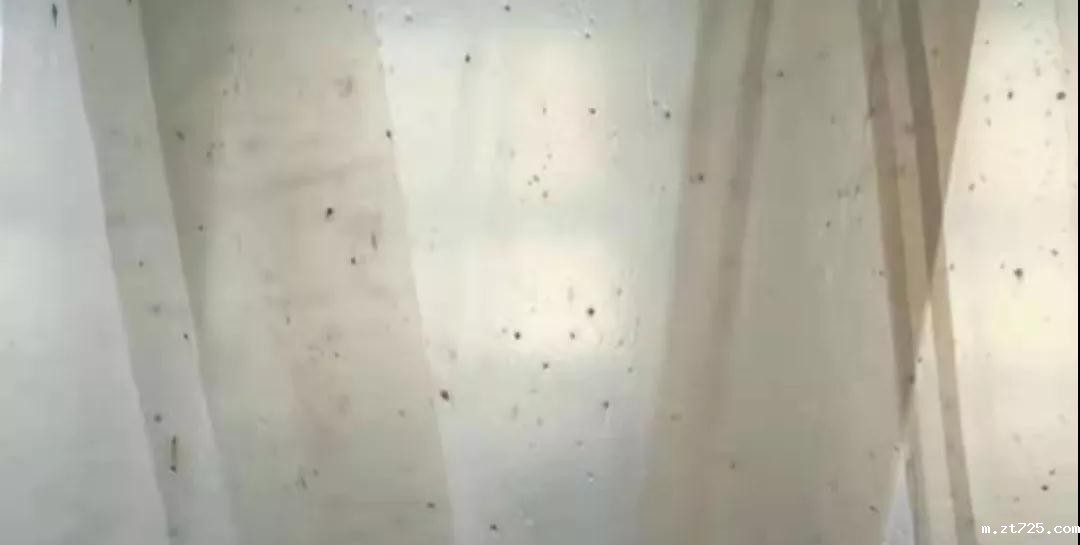 PBAT膜袋有黑点是什么原因?(图1)